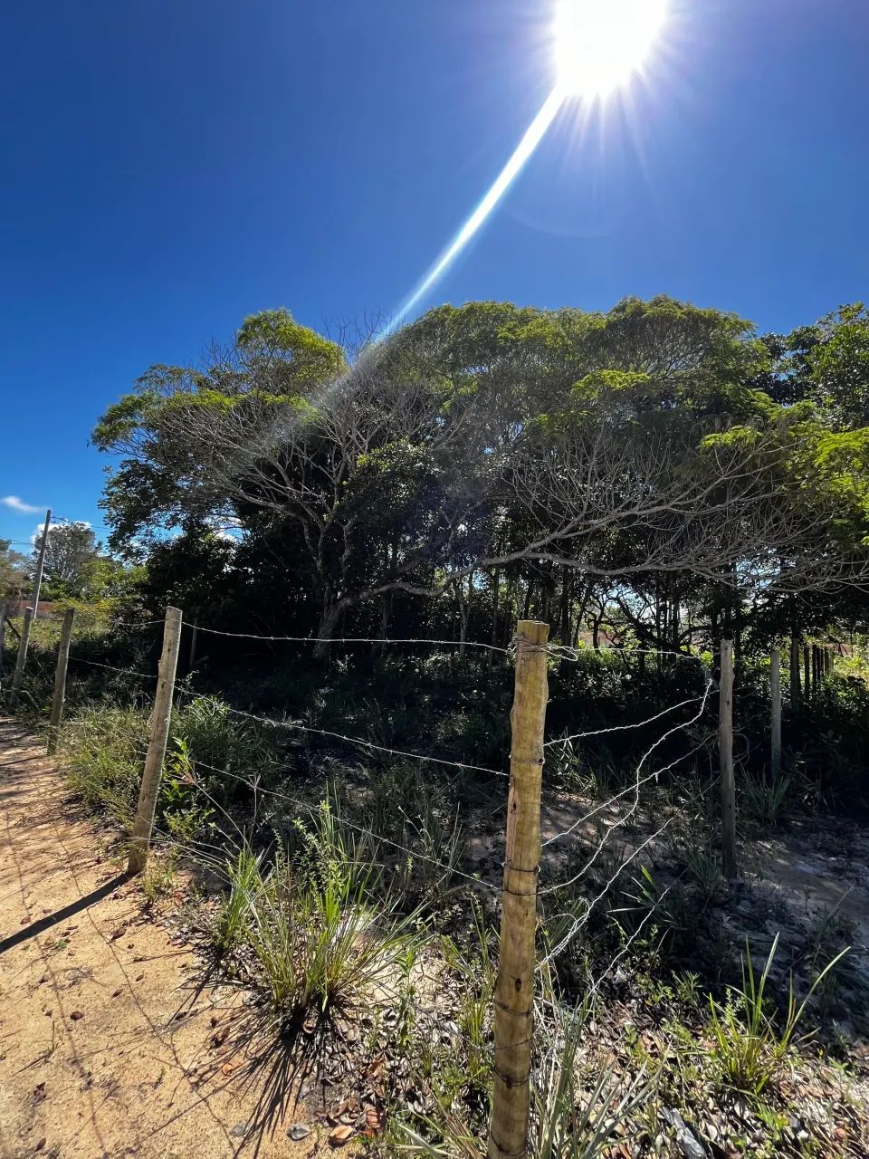 Terreno arborizado / 5 minutos da praia / villas 2