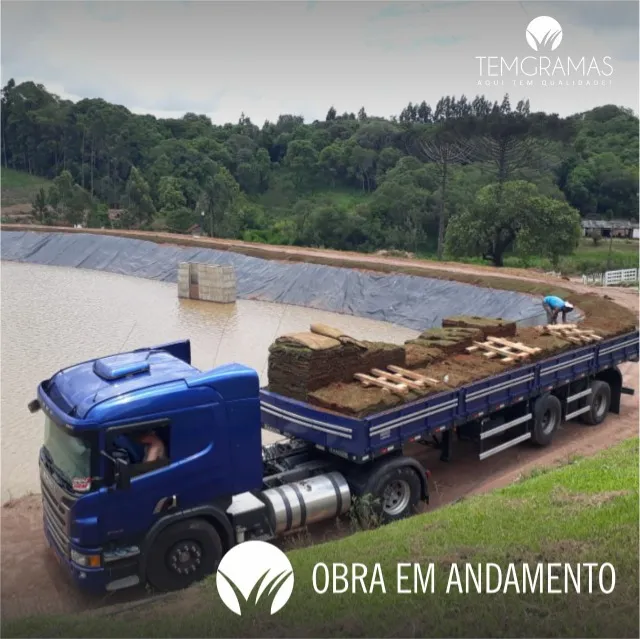 Grama Direto Do Produtor