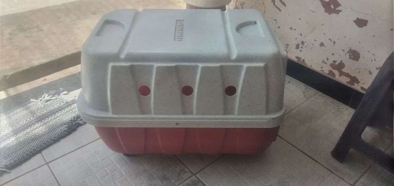 Coelhinho mine loop Branco com casinha - Foto 5