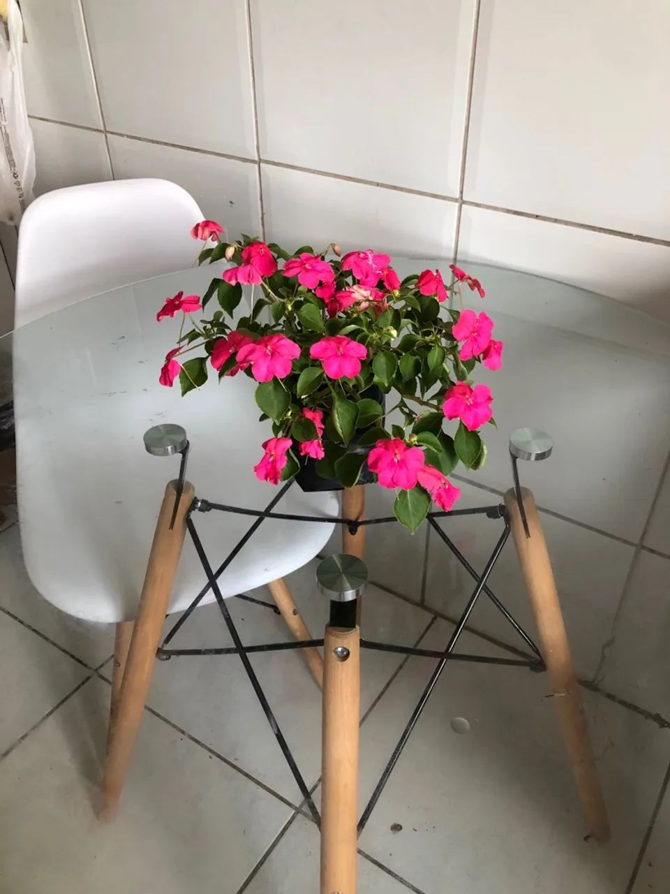 Mesa de vidro com base de madeira