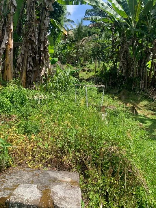 Terreno em Taquari - Paraty - Foto 13