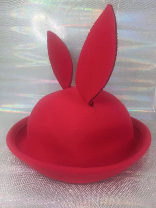 Chapéu Coelho  - Foto 3