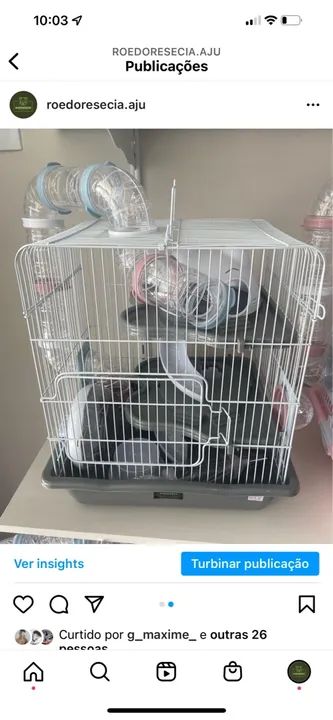 Gaiola Safari Luxo M para Hamster 