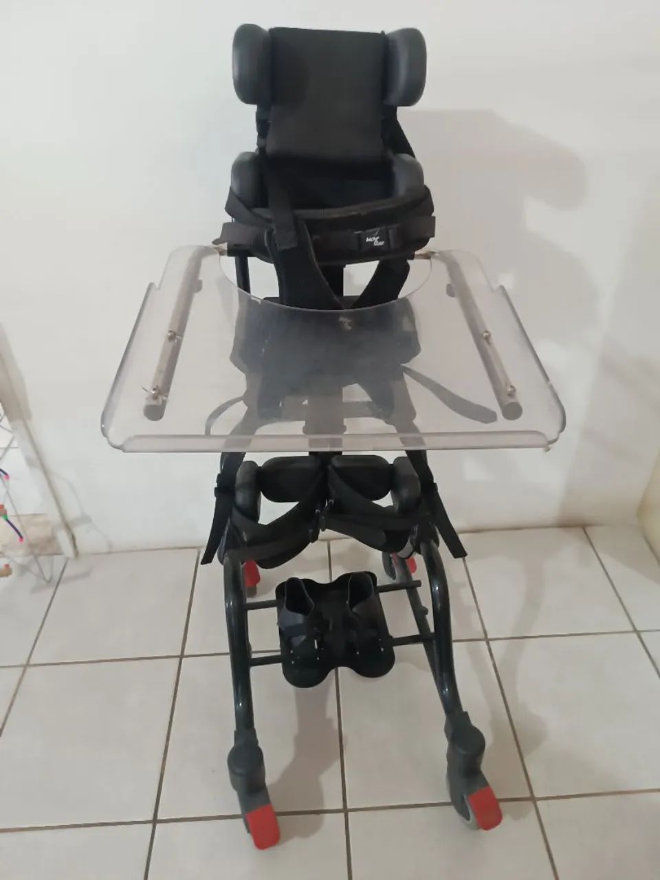 Parapodium  - Foto 3