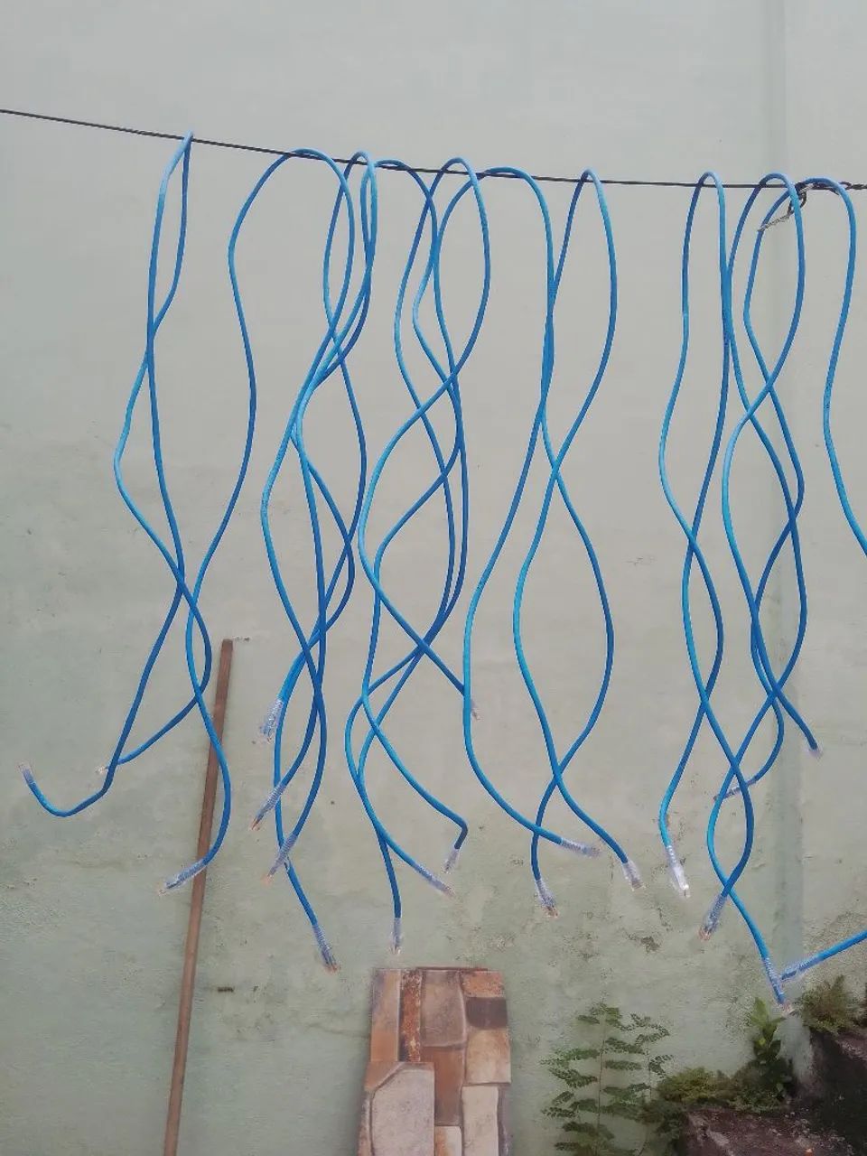 Cabos de rede - Pacote com 50 unidades 1,5m  cat5e