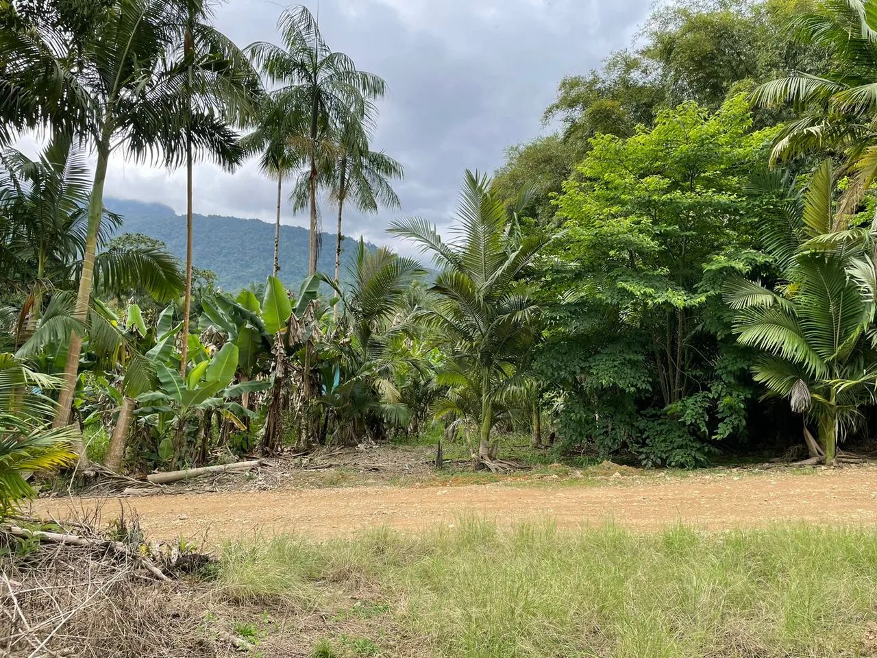 Terreno / Lote à venda, Garibaldi - Jaraguá do Sul/SC