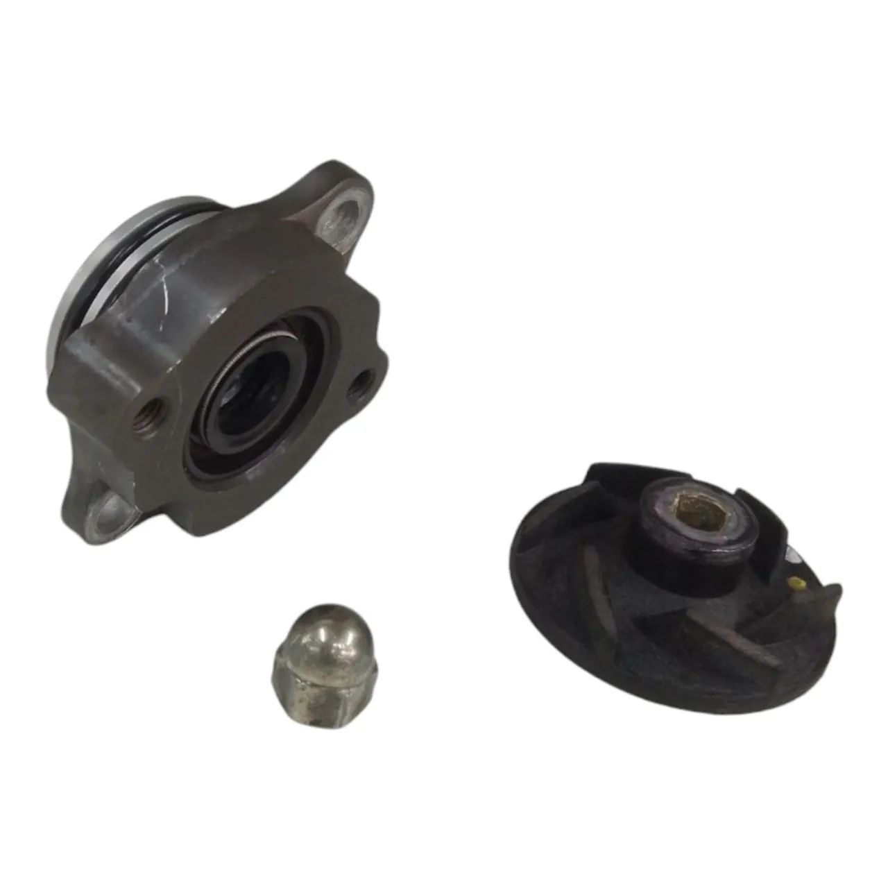 Bomba Água Triumph Scrambler 400x 2023/2024 - Foto 2