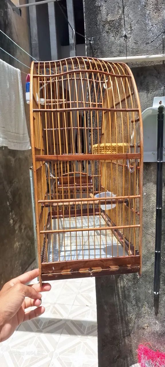 Gaiola 64673065584643122