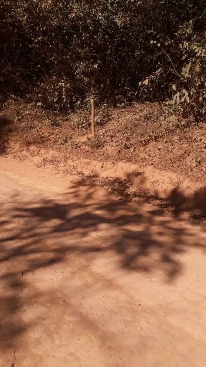 Foto - Rio de Janeiro - Tijuca