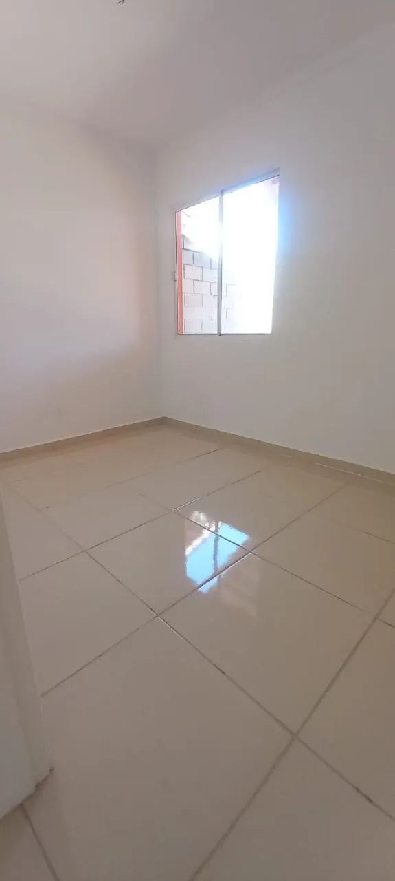 foto - Ponta Grossa - Cará-cará