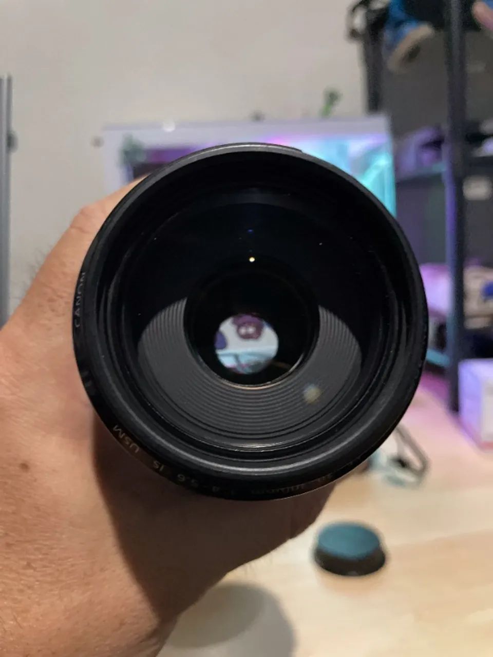 Canon EF 70-300mm IS USM - Foto 3