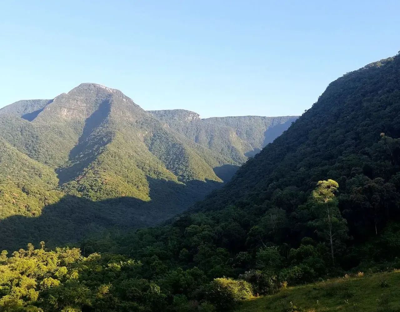 Propriedade Rural 9 Hectares - Turvo, SC - Foto 4