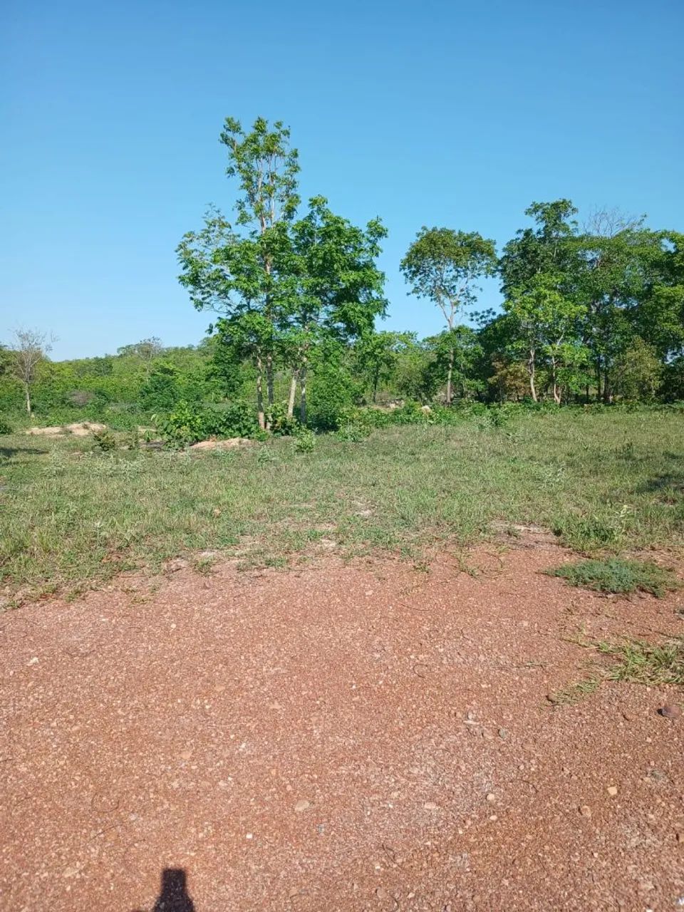 Vendo excelente  chácara no coxipó do ouro  - Foto 3