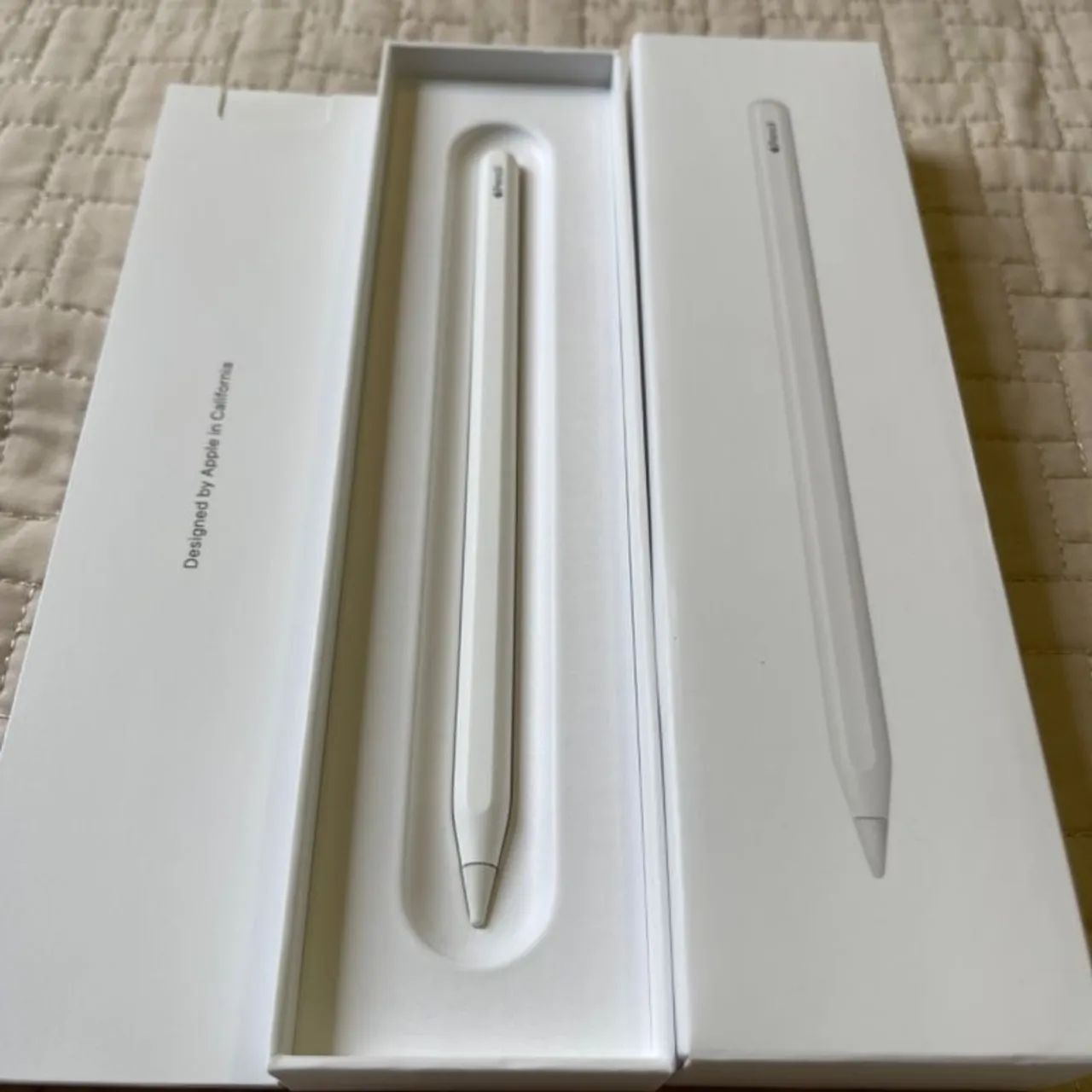 Apple Pencil 2ª Geração (Nova, sem uso)