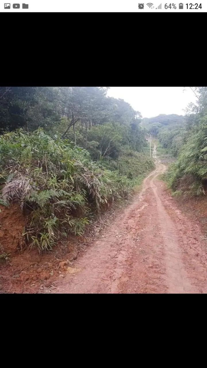 Vendo sítio em Iguape SP  - Foto 3
