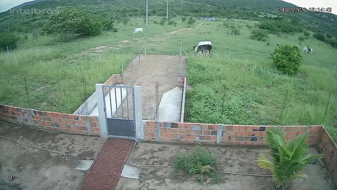 Fazenda 98 Tarefas Brejões-BA Excelente Terreno Oportunidade Negócio Rural roça - Foto 12