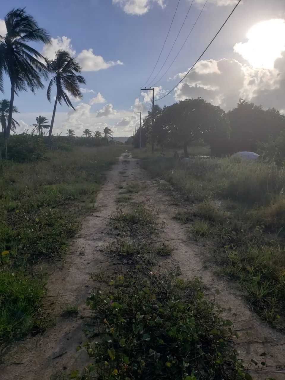 Terreno em Lucena 20x57 Mini Chácara/Granja - Foto 5