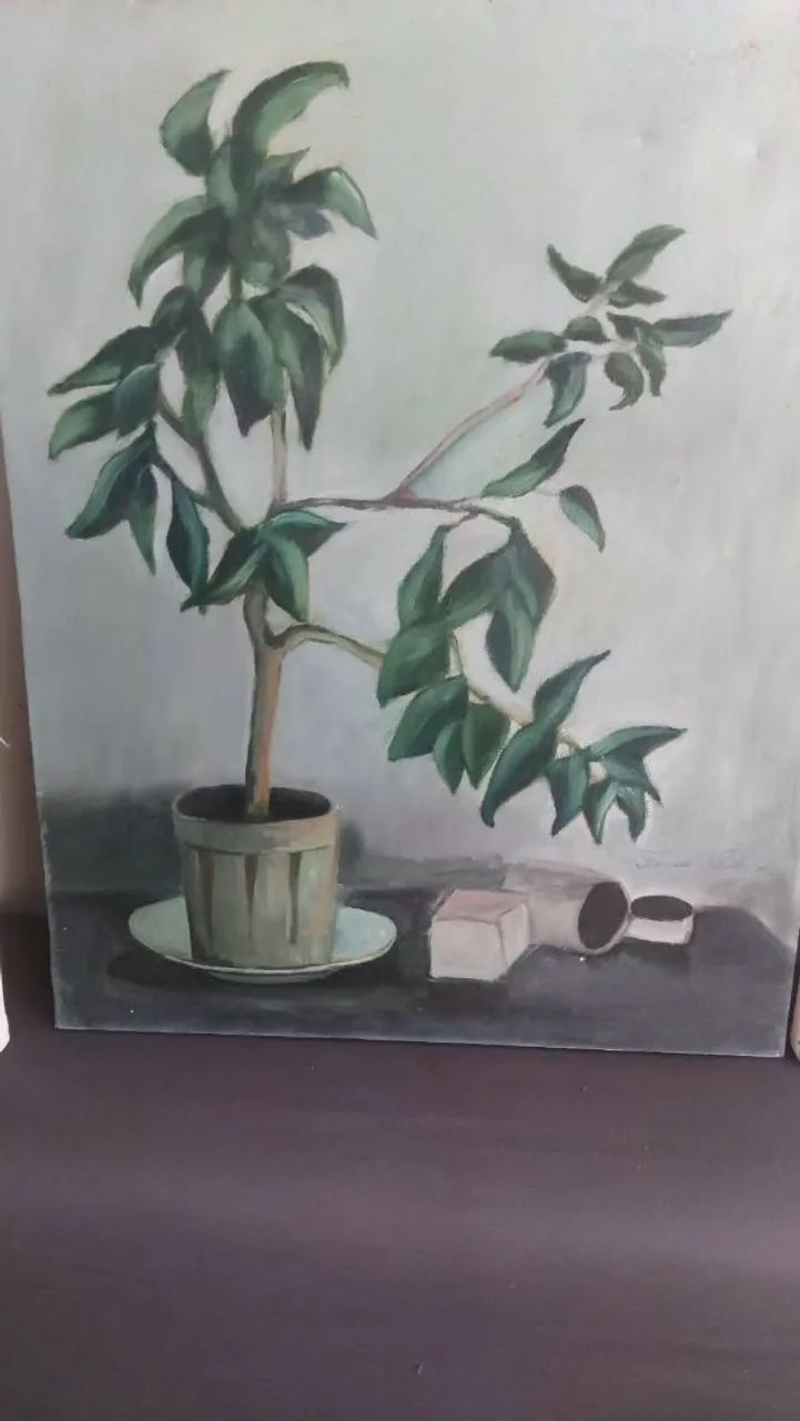 Quadro de plantas 