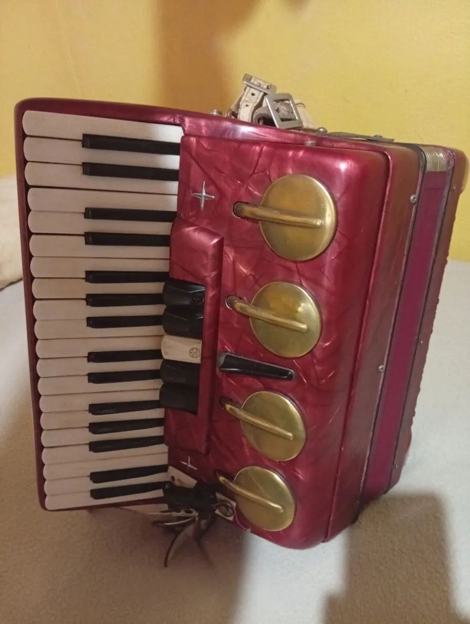 Acordeon - Foto 5