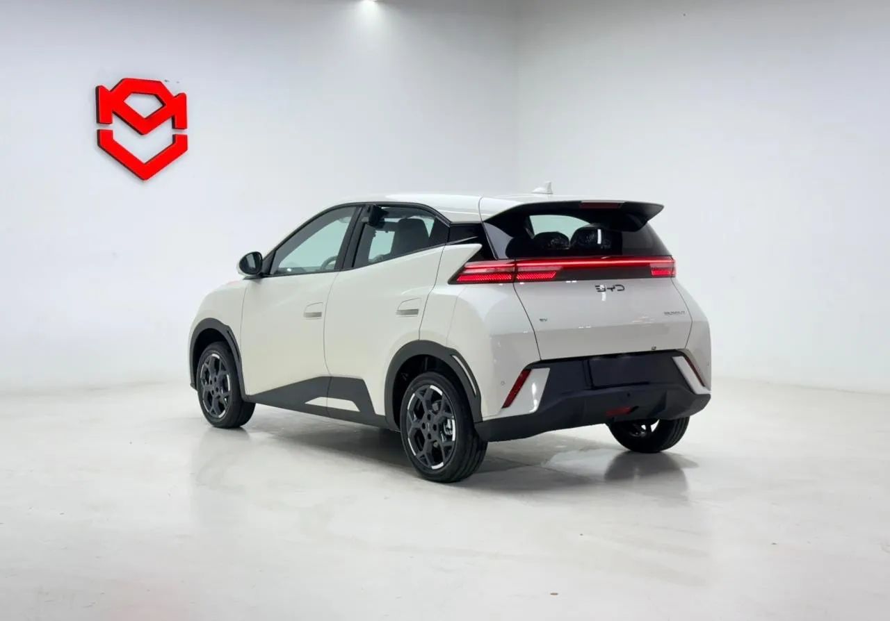 BYD Dolphin Mini (Elétrico) 2027 - Foto 5
