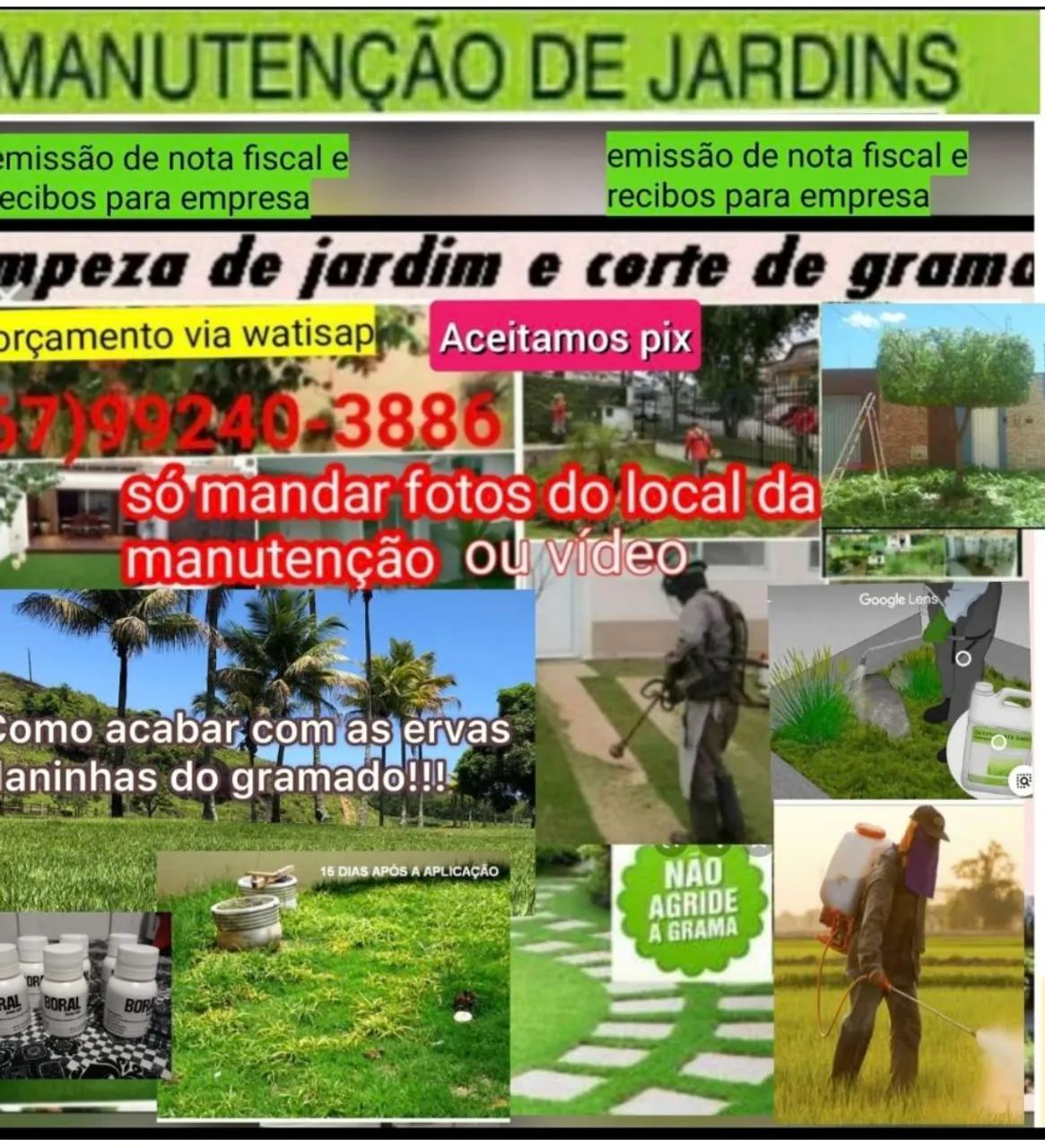 jardineiro,poda de grama e cuidado em geral.
