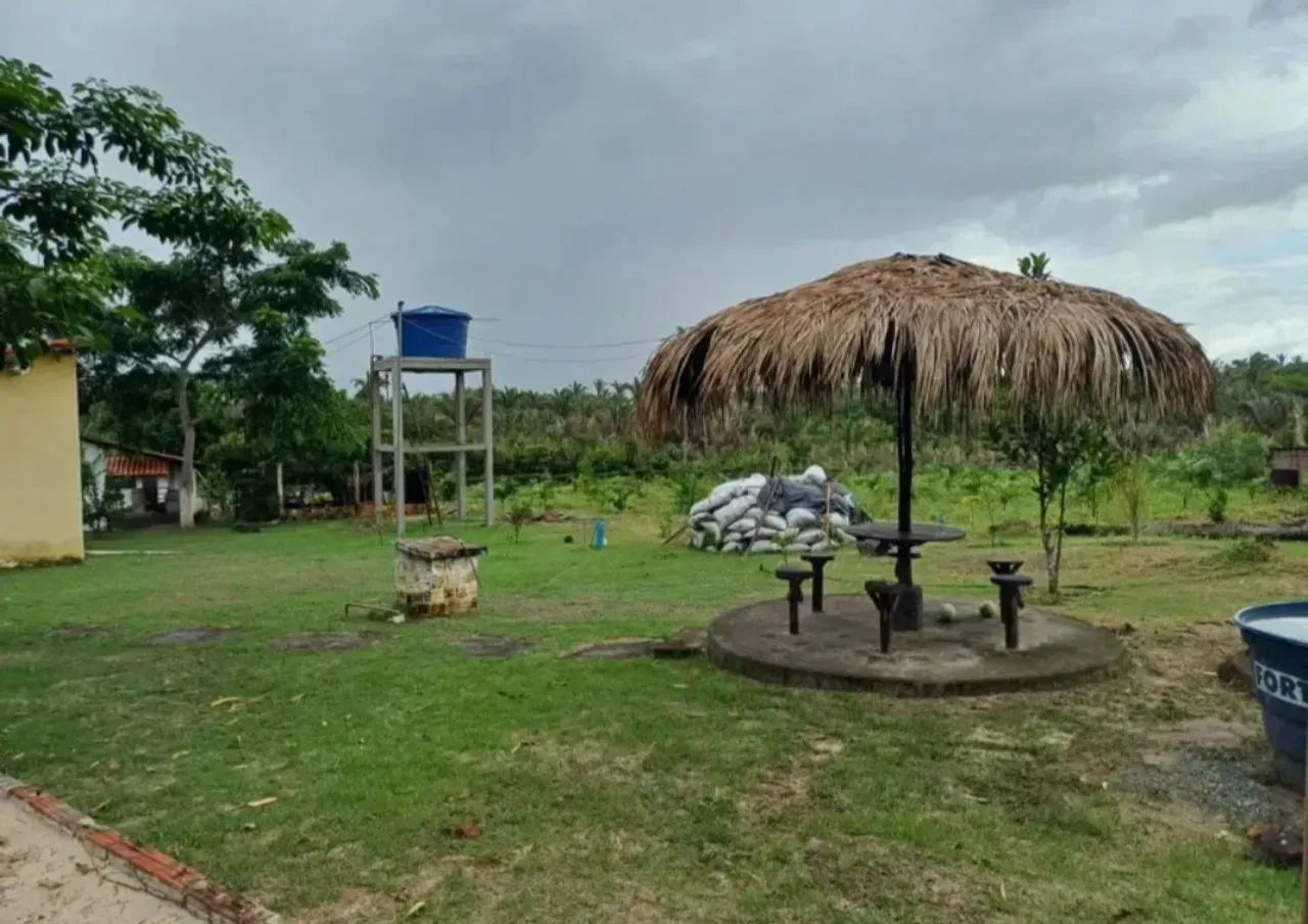 SÍTIO EM AXIXÁ MA - Foto 3