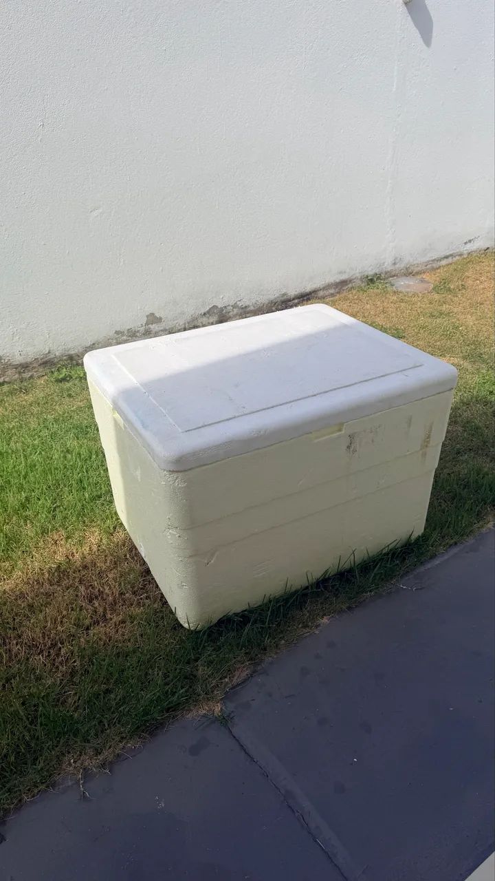 Vendo caixa de isopor 