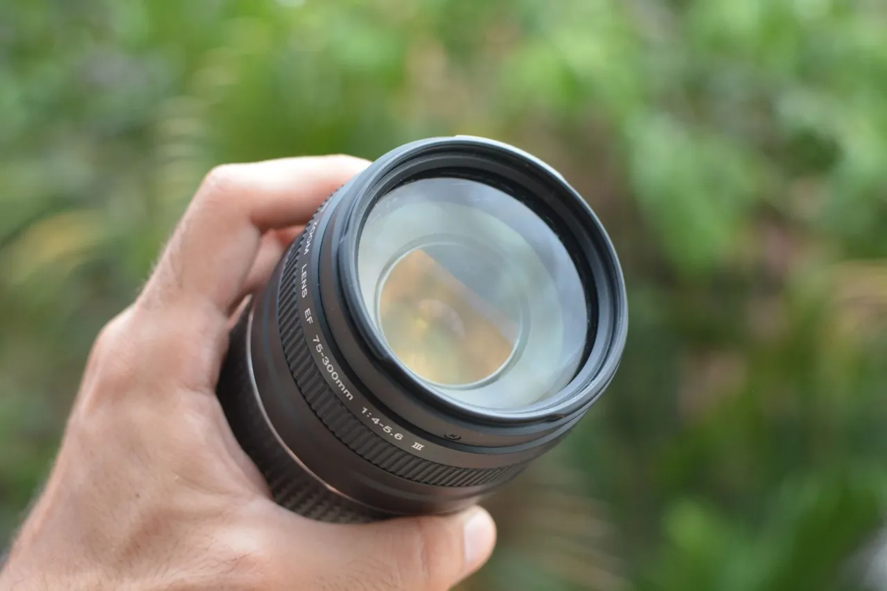canon ef 75 300