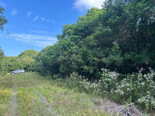 Terreno de 612 m² em Pedrinhas(Ilha Comprida)