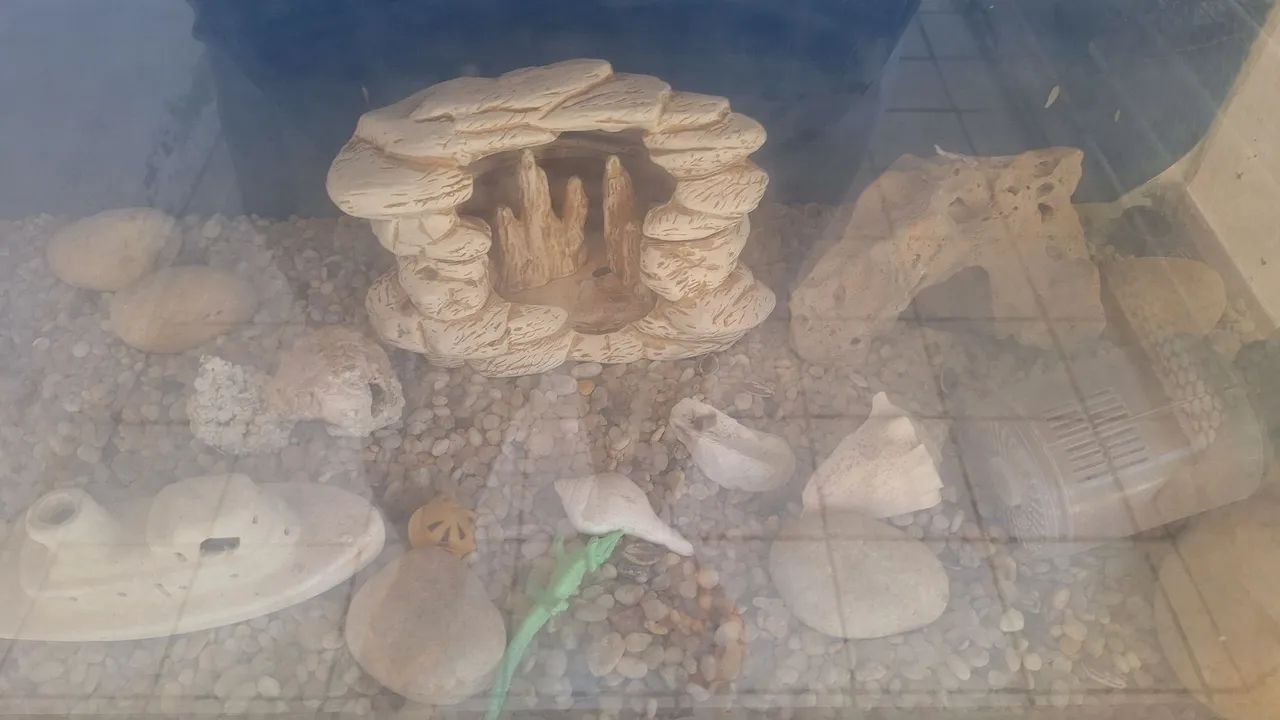 Aquário para peixes - Foto 5