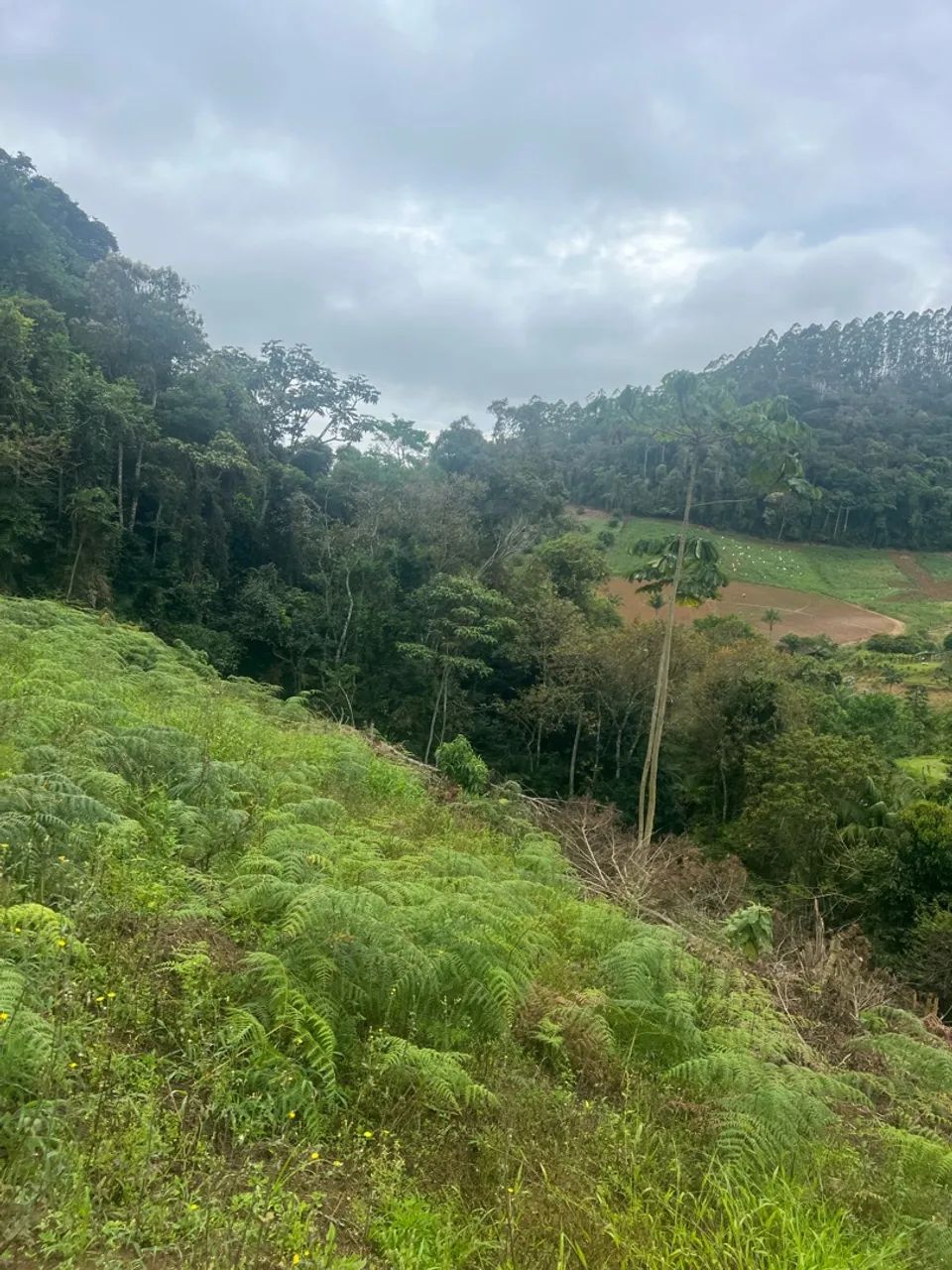 Terreno com rio em Pedra Azul  - Foto 4