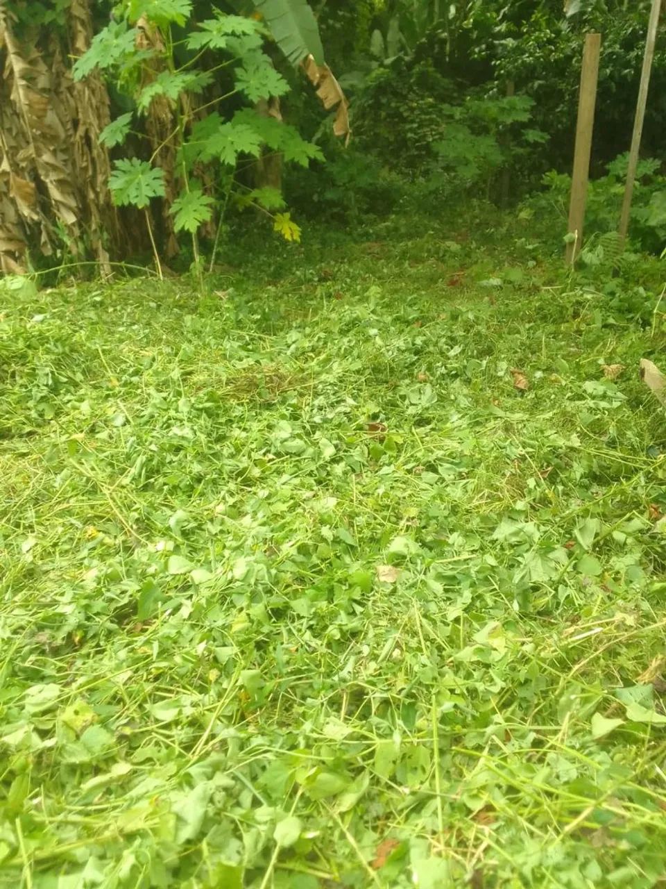 TERRENO PRA VENDER 12.000 - Foto 4