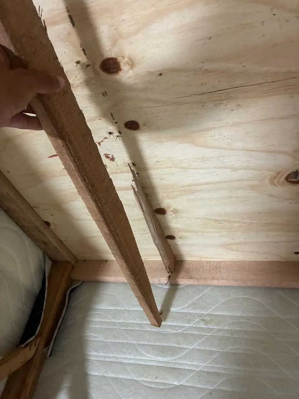 Cama de casal - Foto 3