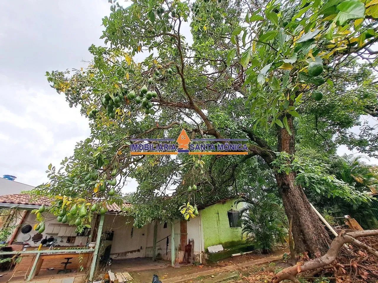 Lote 630m² - Santa Amélia - Foto 4