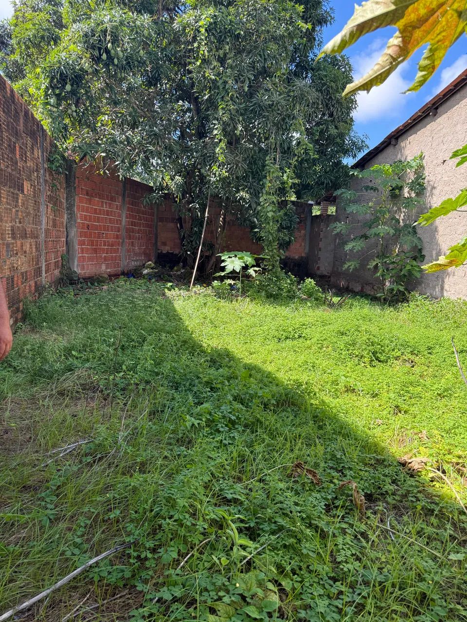 Oportunidade terreno em praia de Tabuba  - Foto 2