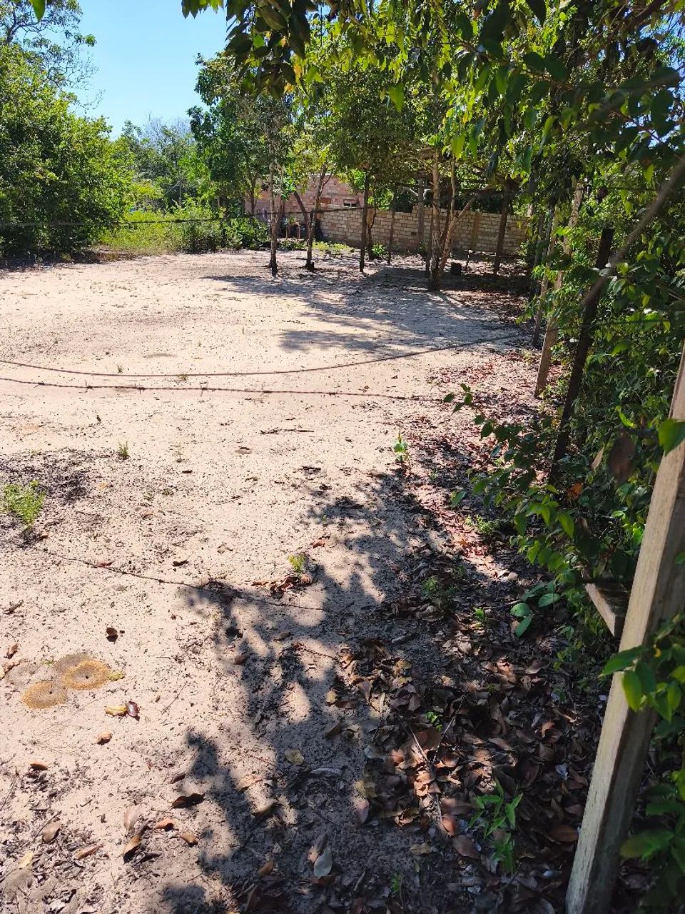 Vendo lindo terreno no Pajuçara  - Foto 2