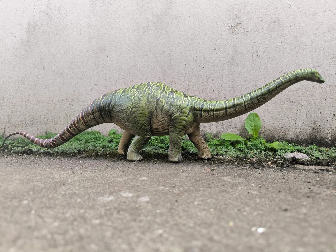 APATOSSAURO - Dinossauro Colecionável - Foto 5