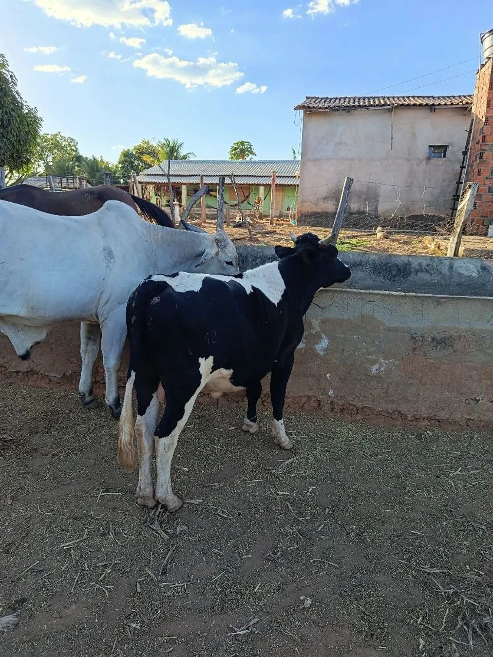 vendo ou troco  - Foto 4
