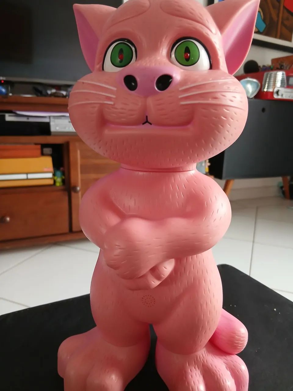 Gato tom talking