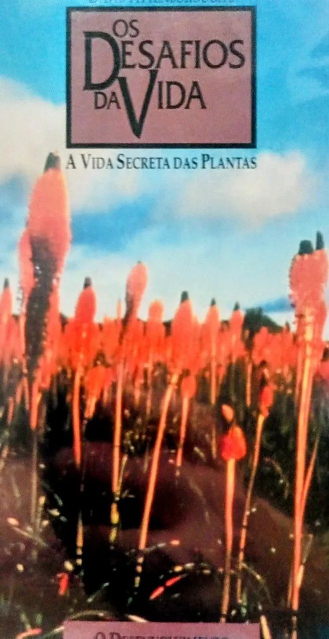18 Fitas VHS Os Desafios Da Vida Documentário Bbc Timelife - Foto 3