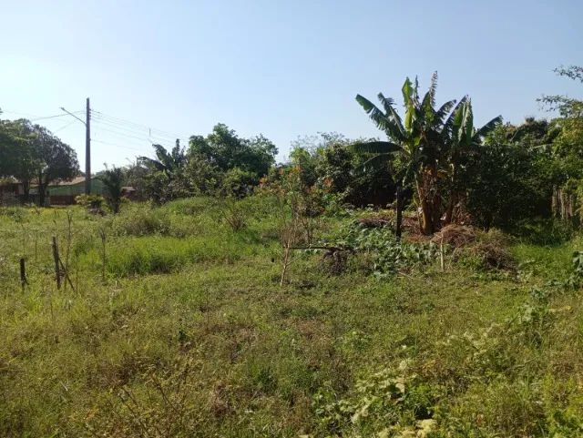 2 Terrenos Juntos a venda 600M² - Foto 2