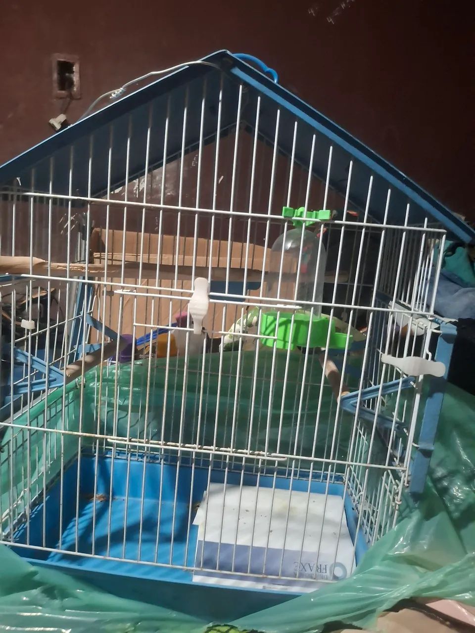 Gaiolas 65578342339843120
