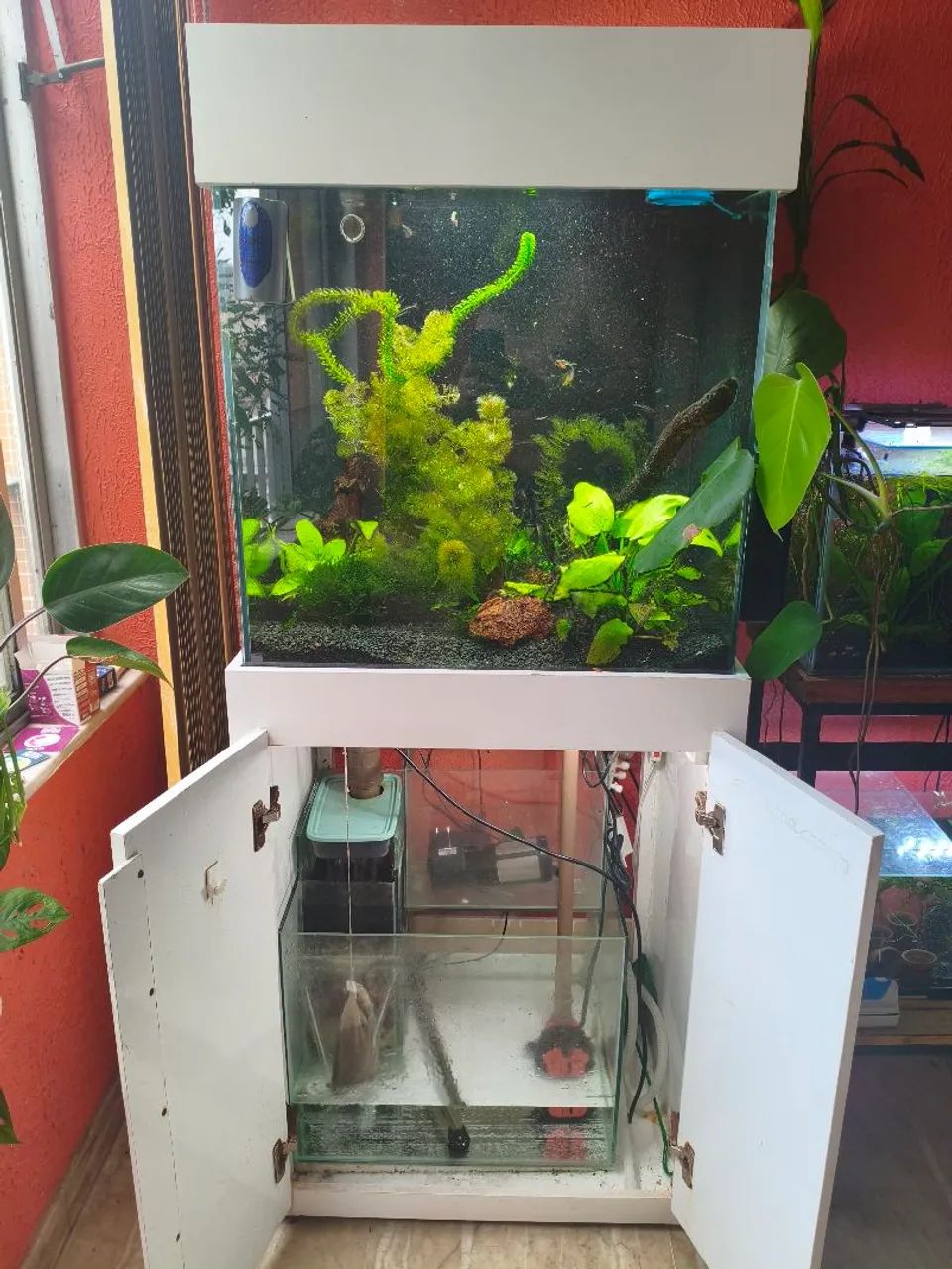 Aquário 200 litros, completo com móvel + sump + acessórios. - Foto 3