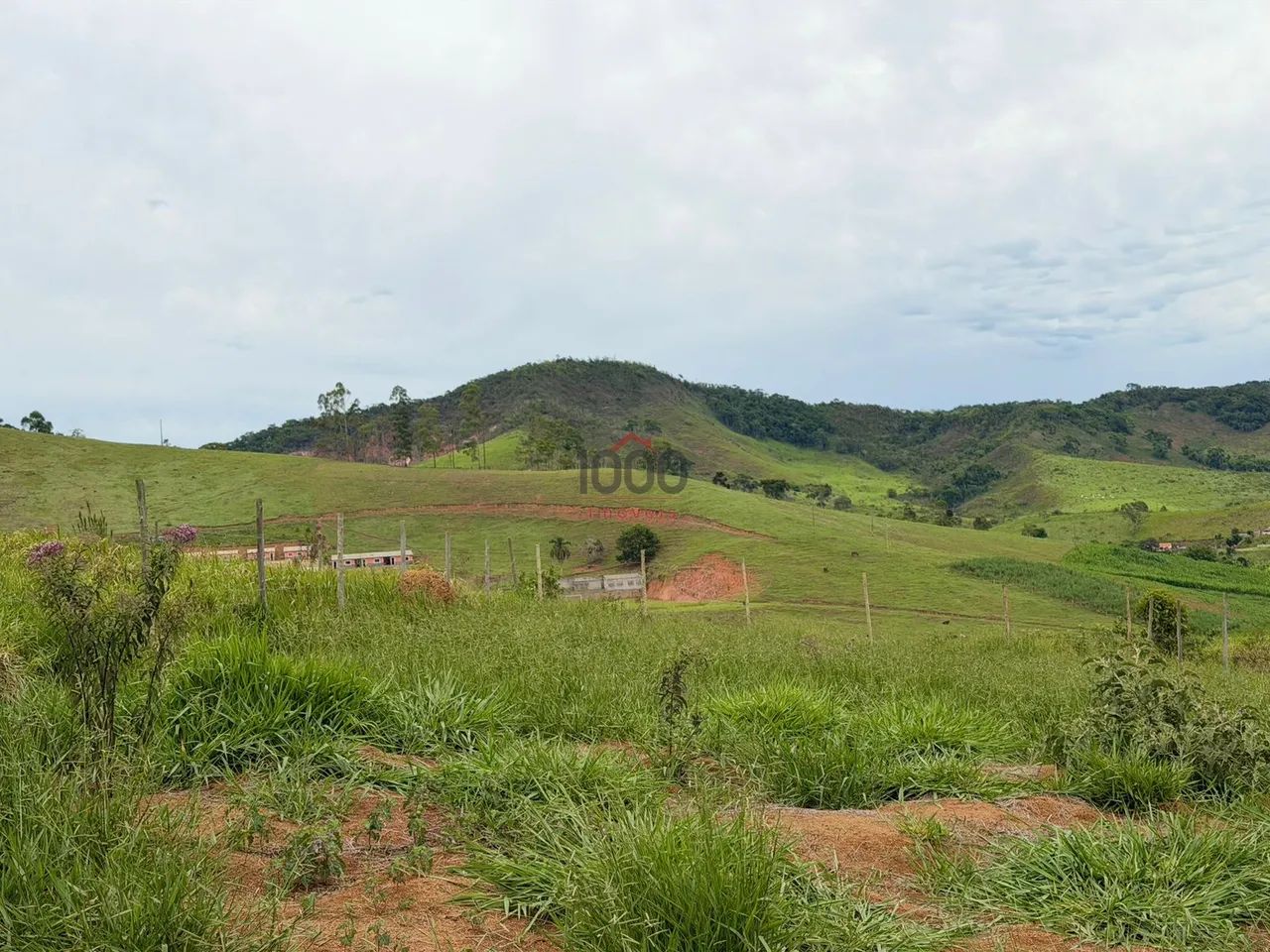 Lote / Terreno - Chacara - Foto 5