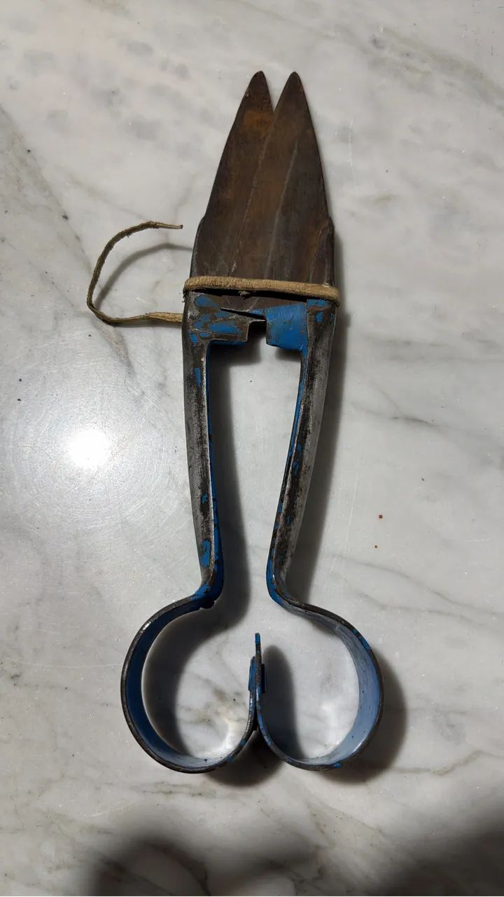 Tesoura de Esquila sem marca  - Foto 2