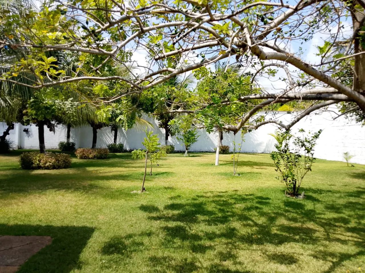 Vendo sítio próximo a lagoa do banana