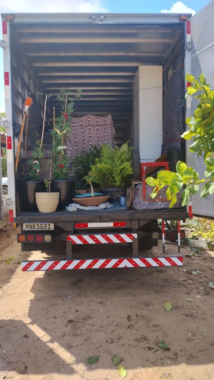 Fretes e mudanças * - Foto 3