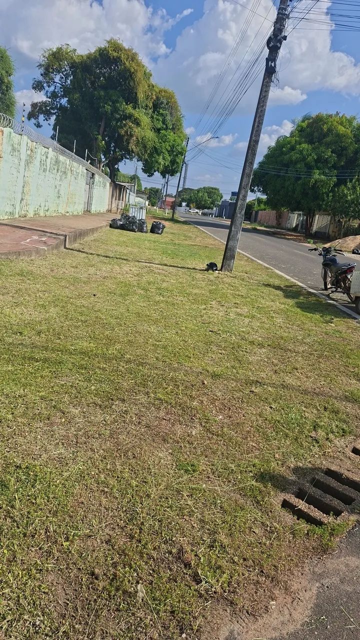 Rocagem limpeza - Foto 5