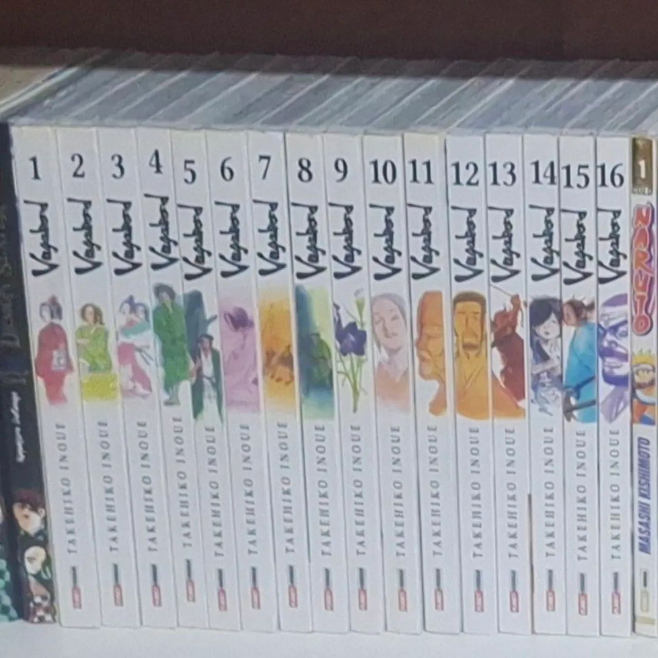 Vagabond 1-16