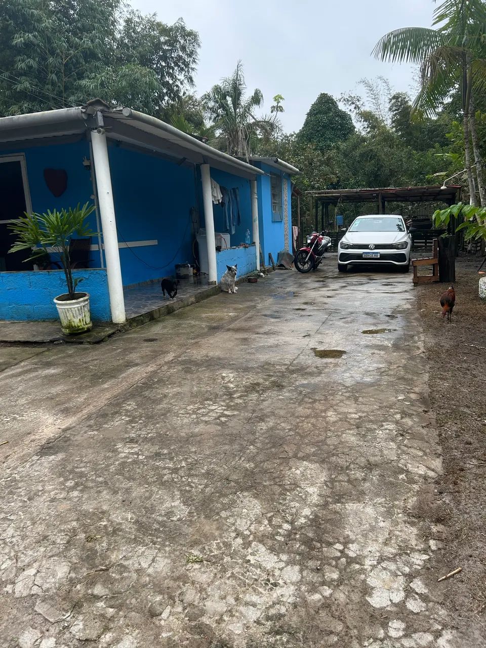 Vende-se chácara em Peruíbe  faço rolo, pego carro como parte do pagamento  - Foto 9